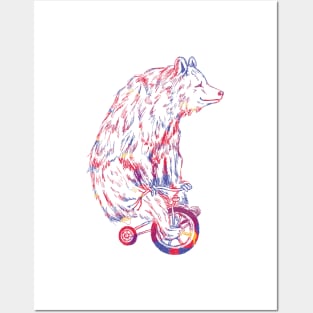 Bear Riding Bicycle Posters and Art